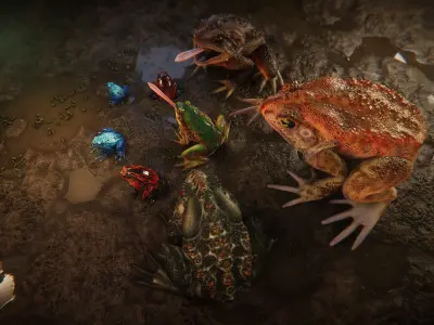 Frogs pack Low-poly 3D model