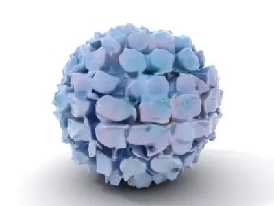 Hydrangea Blossom model pack Low-poly 3D model