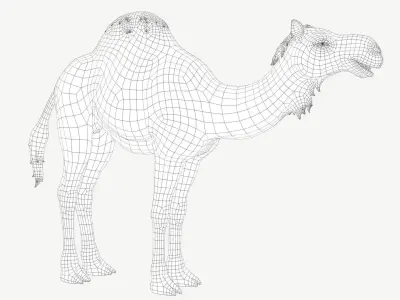 Dromedary Camel Low-poly 3D model