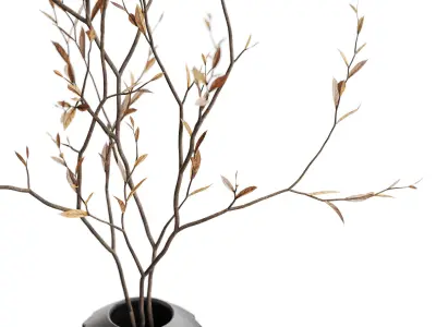 Bouquet 43 3D model