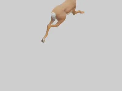 Hare running model Low-poly 3D model