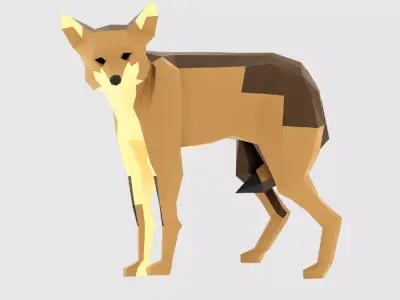 Coyote polygonal wolf Low-poly 3D model