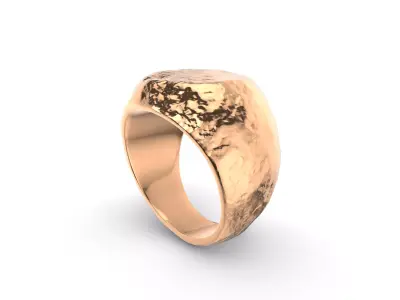 Rock Textured Ring Model 3D print model