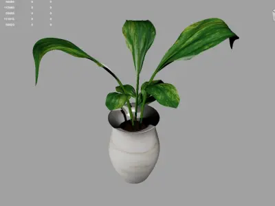 Potted Plant 3D model purchase