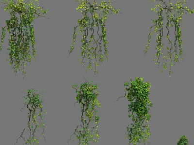 Decoration - vines 3D model