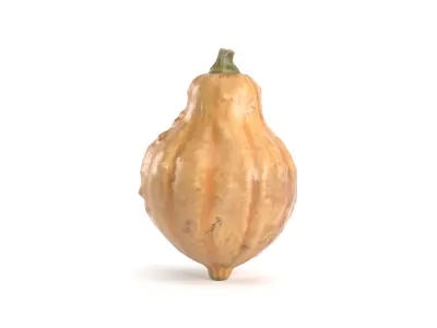 Decorative Pumpkin Gourd 4 3D model