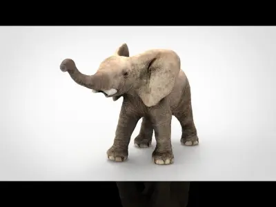 ELEPHANT baby Low-poly 3D model
