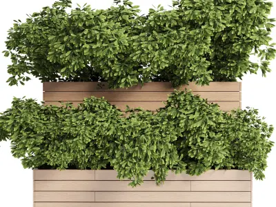 Outdoor plant 14- wood bax Low-poly 3D model