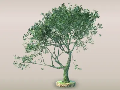 Tree - 4 Free low-poly 3D model
