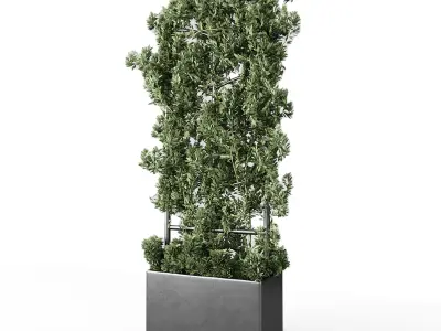 Botanical Planter 3D model