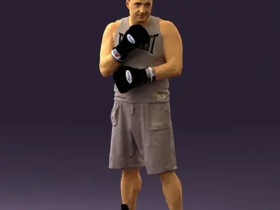 Boxer in gray 0781 3D Print Ready 3D print model