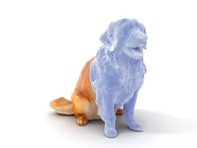 Golden Retriever model pack Low-poly 3D model