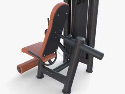 Leg extension machine 3D model