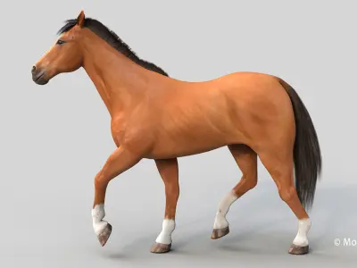 Horse PRO - Brown 3D model