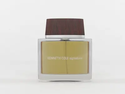Kenneth Cole signature 3D model