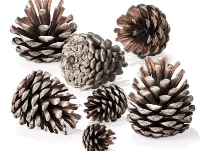 Christmas decorative set for interior decoration 01 3D model