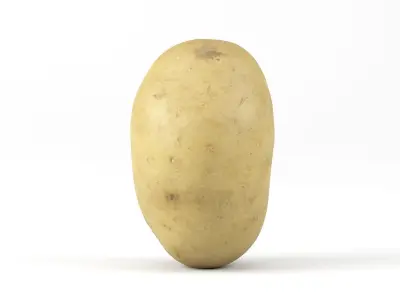 Photorealistic Potato 3D Scan 3D model