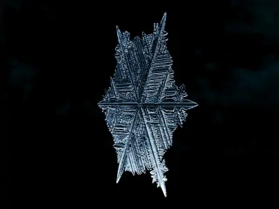 Snowflake 03 growing animation with blender file 3D model