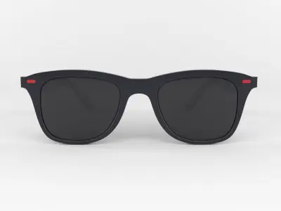 Classic Polarized Sunglasses 3D model