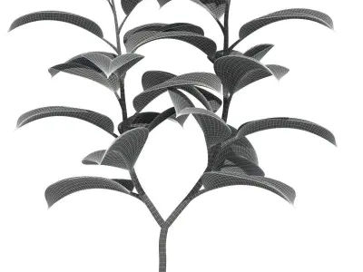 Plants collection 73 Modernica pots 3D model