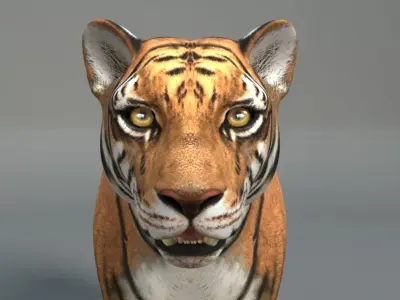 Tiger 3D model