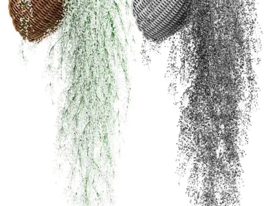 Hanging plants in wicker pots 3D model