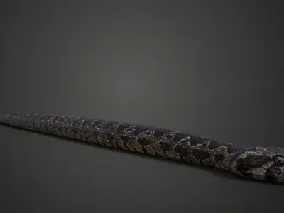 Palestine viper Animated VFX Grace 3D model