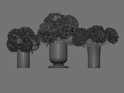 Hydrangea set 002 3D model