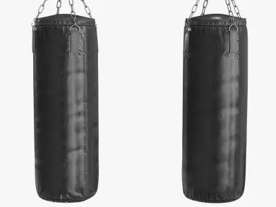 Boxing Punching Speed Bag v2 Low-poly 3D model