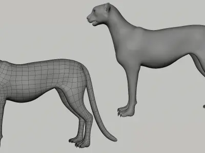 Cheetah Model Low-poly 3D model