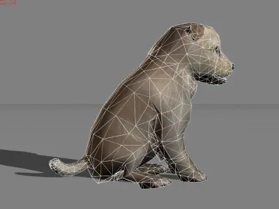 Puppy Dog Animal Low-poly 3D model