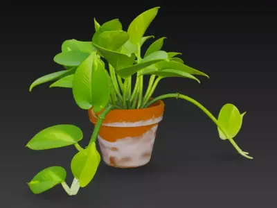 3D Pothos Plant Pot 3D model