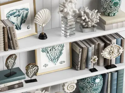 Decor Set 7 shelf with seashells and books 3D model