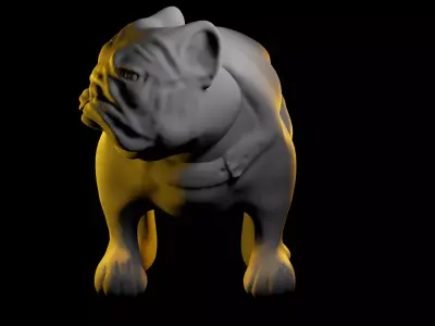 Bulldog 3D model buy