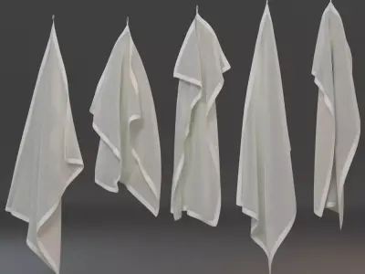 Hanging Towels 3D model