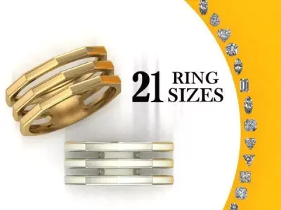 Triple Ring 3D print model