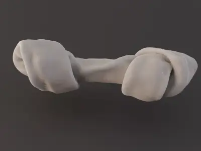 Photoscanned Realistic Dog Bone 3D model