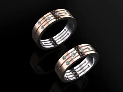 Wedding Bands 03 3D print model