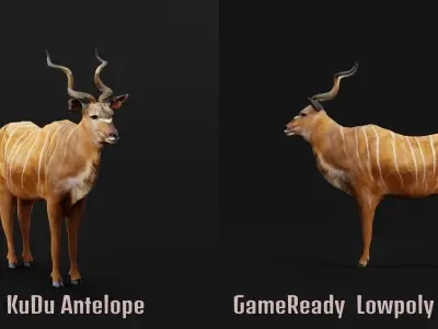 Greater Kudu Antelope Animal  Low-poly 3D model