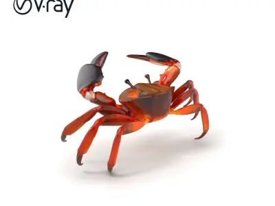 Coconut Crab Tropical Design model pack Low-poly 3D model