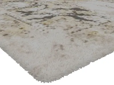 Rug Set 1434 3D model