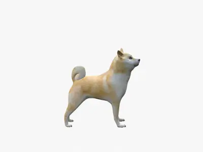 Doggo shiba inu Low-poly 3D model