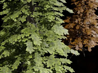 Tree Collection 1 - 3 trees - 2 colors Free low-poly 3D model