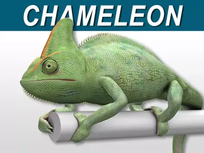 Chameleon - Green 3D model