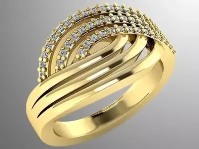 Ring n 13  3D print model