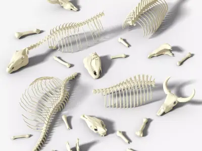 Animals bones with skulls Low-poly 3D model