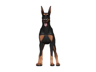 Doberman Low-poly 3D model