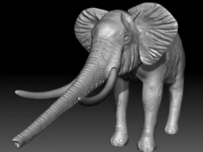 African Elephant Low-poly 3D model