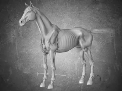 Horse - Famine No Gear 3D model