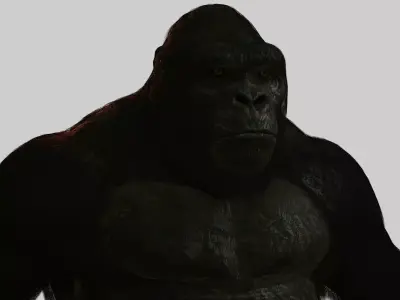 Super Realistic Monkey Kong For Movies or Games Low-poly 3D model